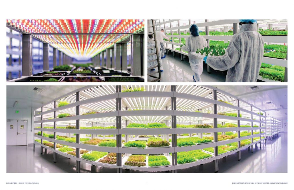 14-Oasis-Biotech-01